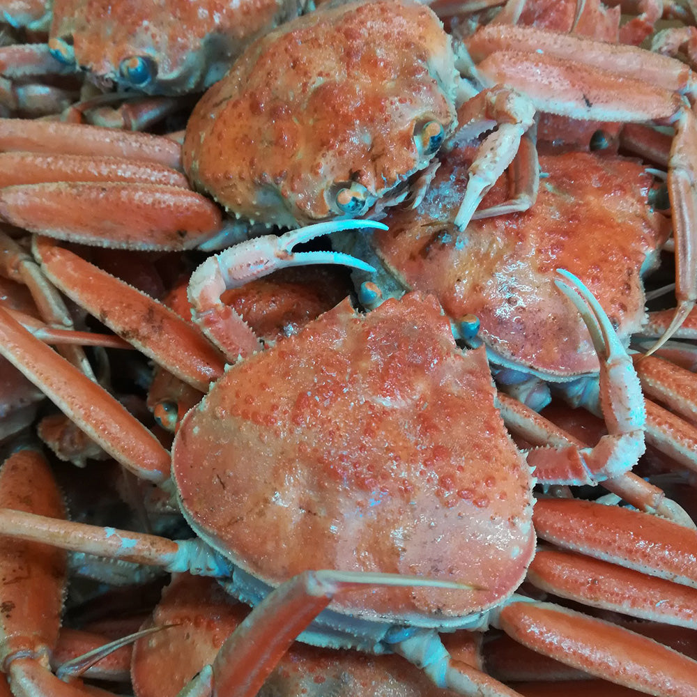 日本酒と肴 秋の晩酌セット 京都北部 丹後のおいしいお取りよせ