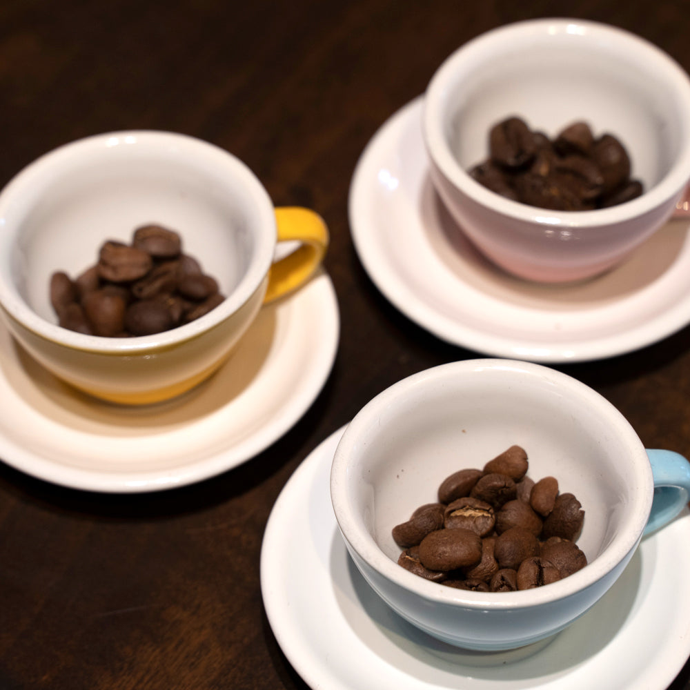 京都北山サーカスコーヒースペシャルティコーヒーブレンド3種セット(コーヒー豆・各120g)