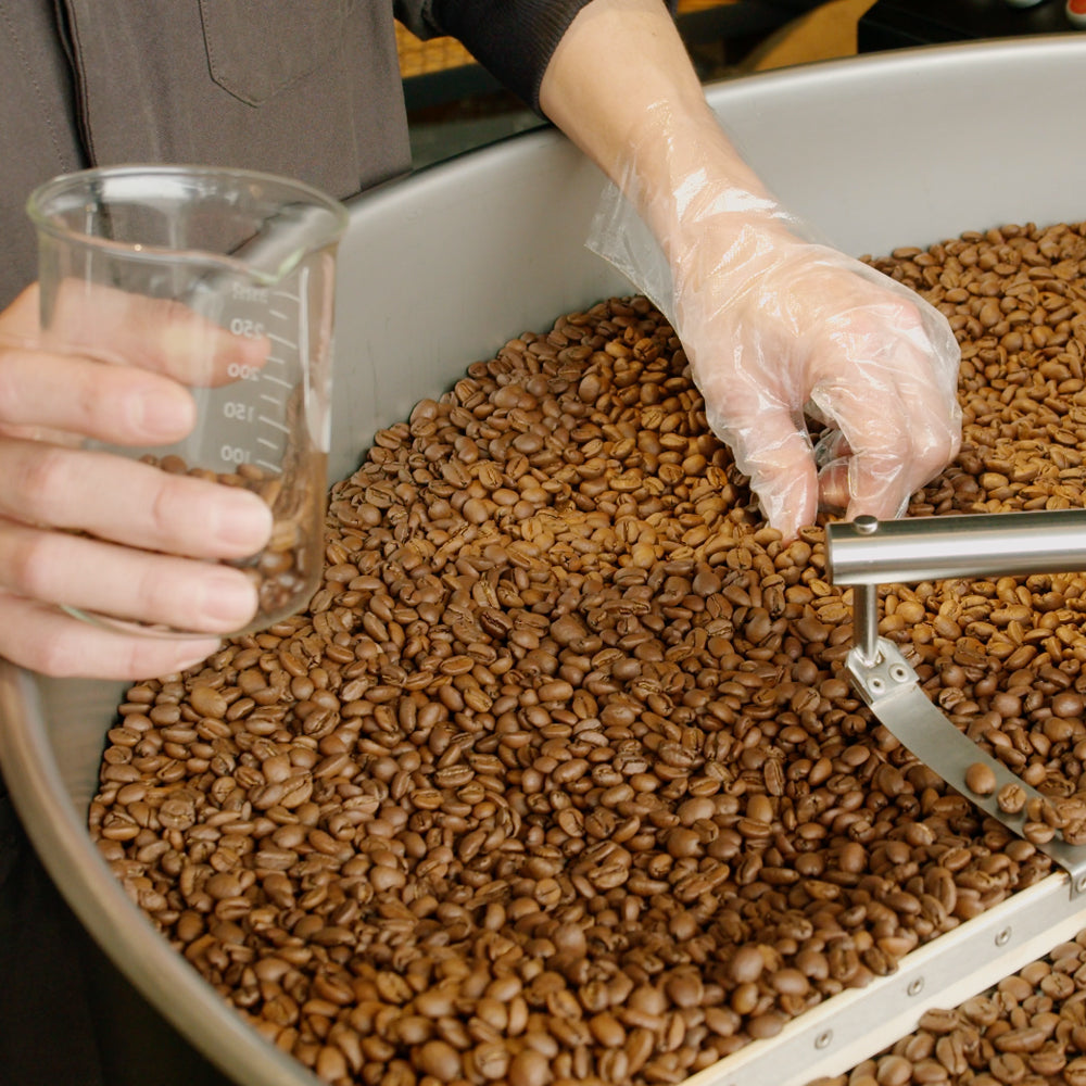 中山珈琲焙煎所が選ぶ4種のコーヒー（コーヒー豆・各100g） の通販