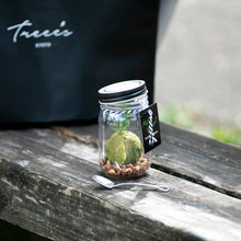 画像をギャラリービューアに読み込む, TREEE’S KYOTO 抹茶テラリウム-Leaf 限定スペシャル-「Tea Leaf Set」
